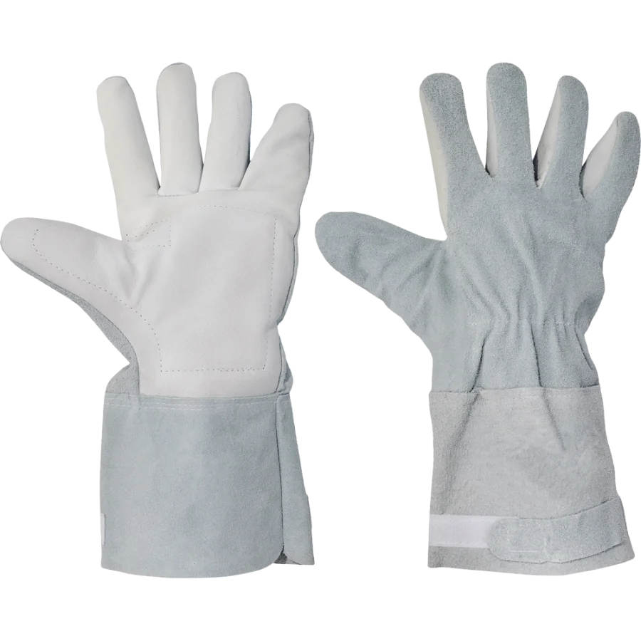 Killdeer