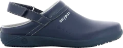 REMY NAVY ESD SRC